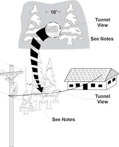 Graphic showing overhead services and 10' window of clearance in trees. 